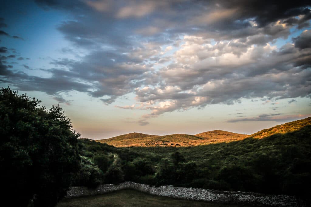 Vue depuis la terrasse sur le parc naturel classé