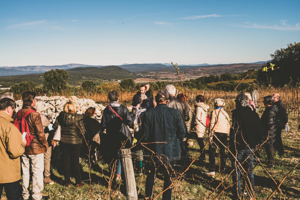 Visite oenotouristique par Geoffroy D’Albenas