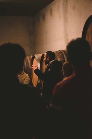 Visite oenotouristique par Geoffroy D’Albenas